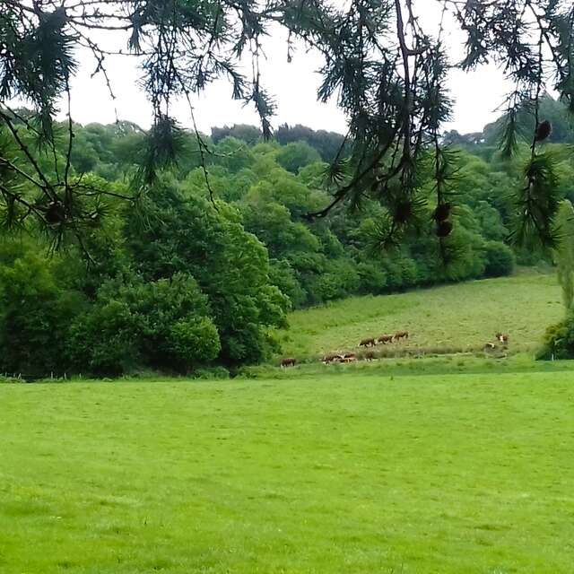 Circuit de Saint-Méen/Saint-Trémeur