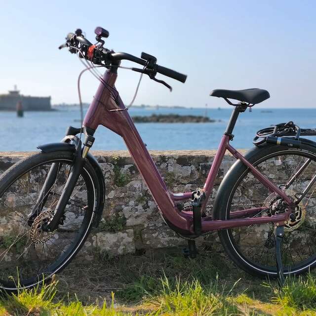 N'Bike Rental