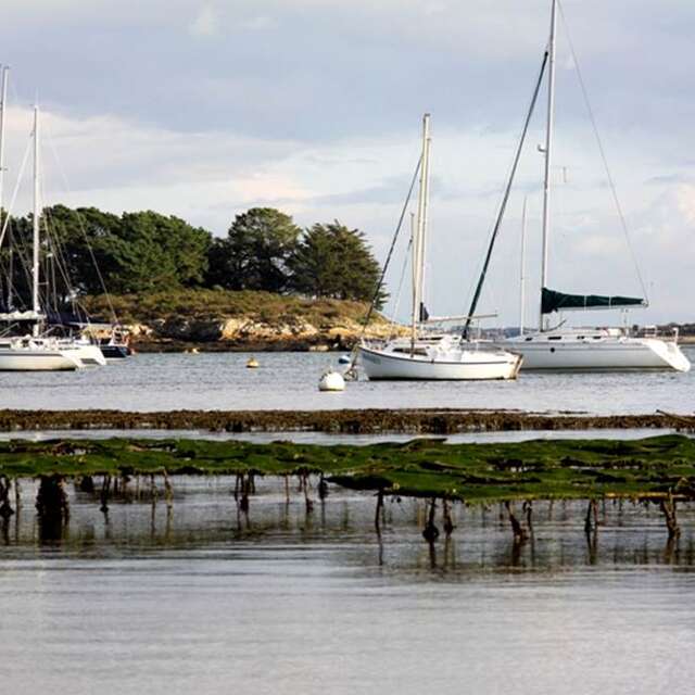 Ile Petite Logoden