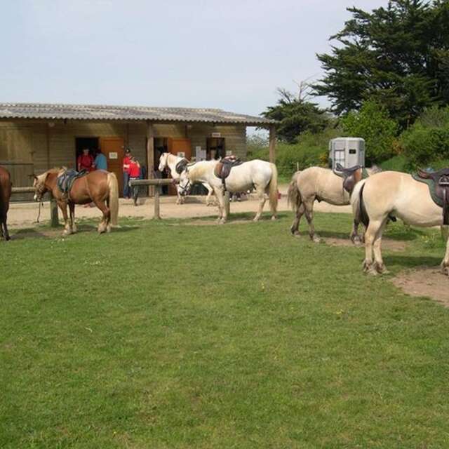 Centre de Tourisme Equestre Les Highlands