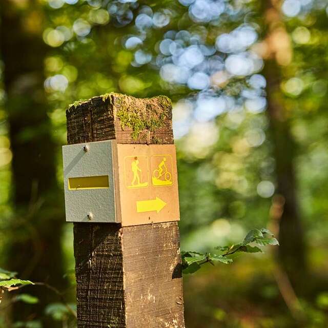 Pluvigner - Saint-Trémeur