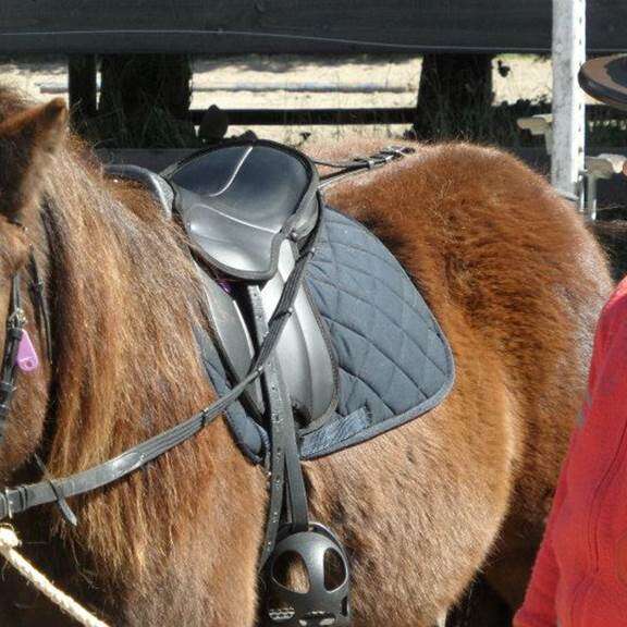 Club Hippique de la Plage