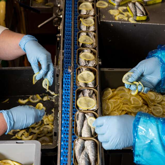 la belle-iloise - Quiberon (Plein Ouest)