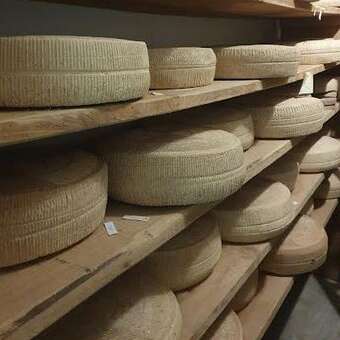 La Tomme de Bellevue