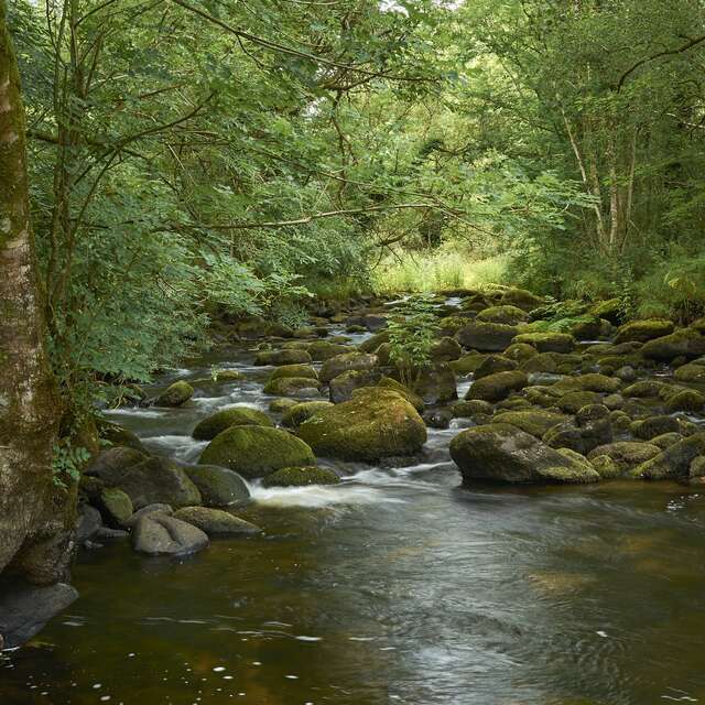 Circuit des chaos de l'Ellé