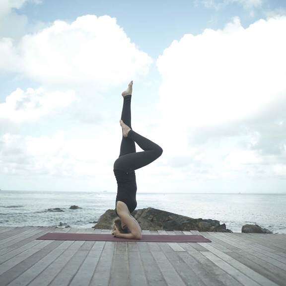 VANAYOGA