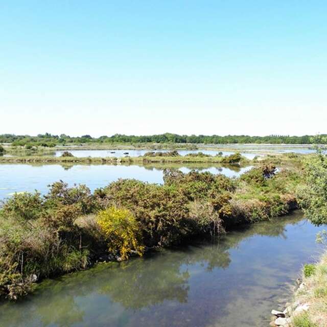 Les Marais de Pen en Toul
