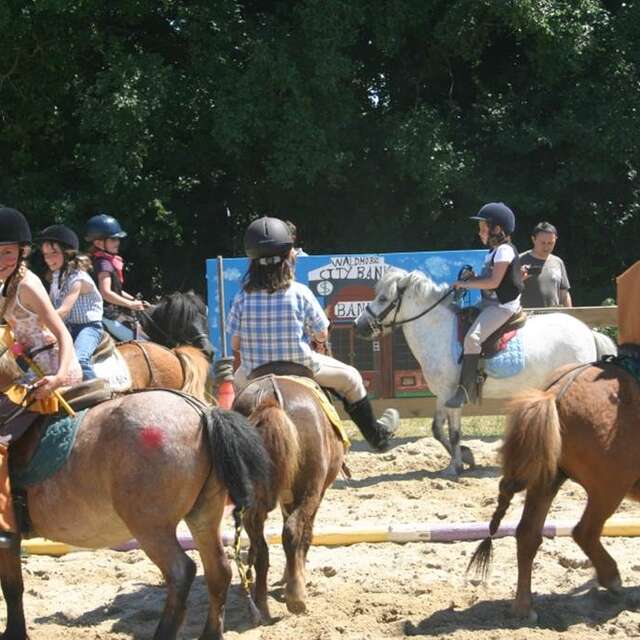 Kerguélen Equitation