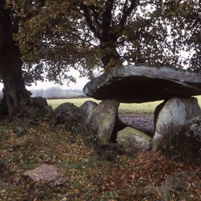 Allée couverte de Kerjagu