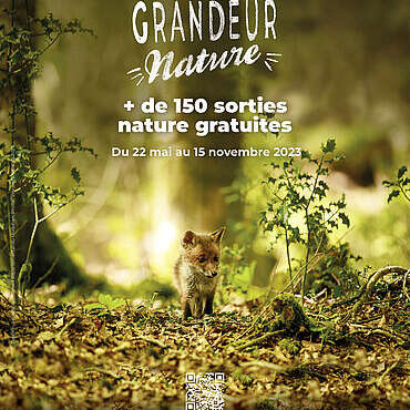 Morbihan Grandeur Nature