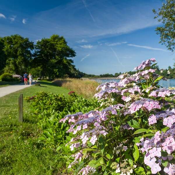 Circuit du diable au paradis des hortensias (n°17)