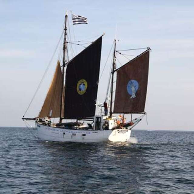 Croisières à bord du Bro Warok