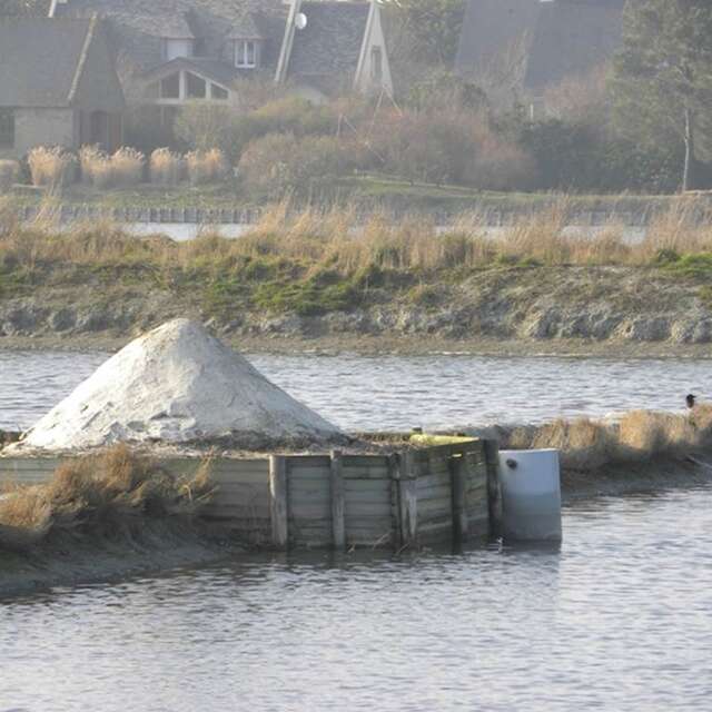 Les Marais Salants