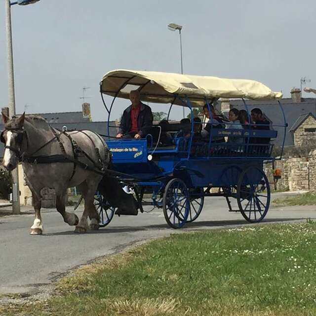 Les Attelages de la Ria