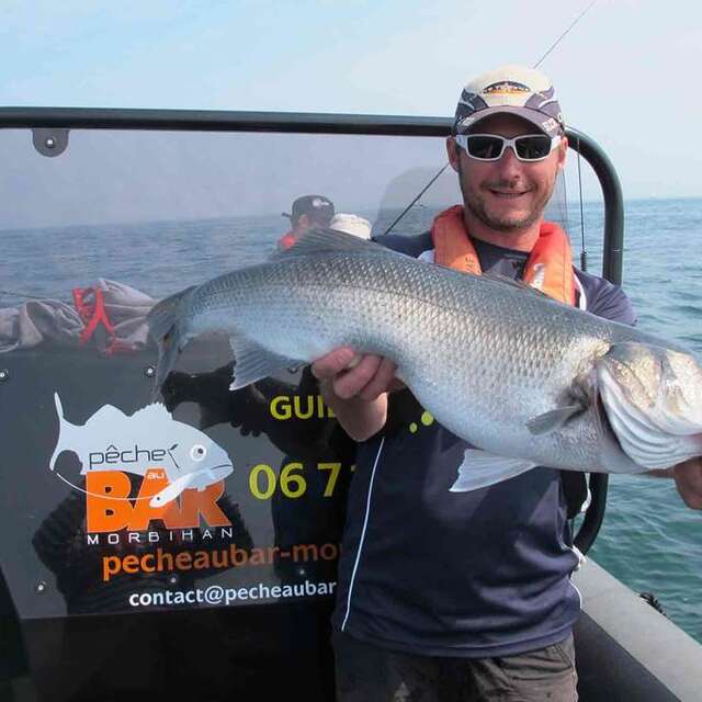Pêche au Bar - Morbihan