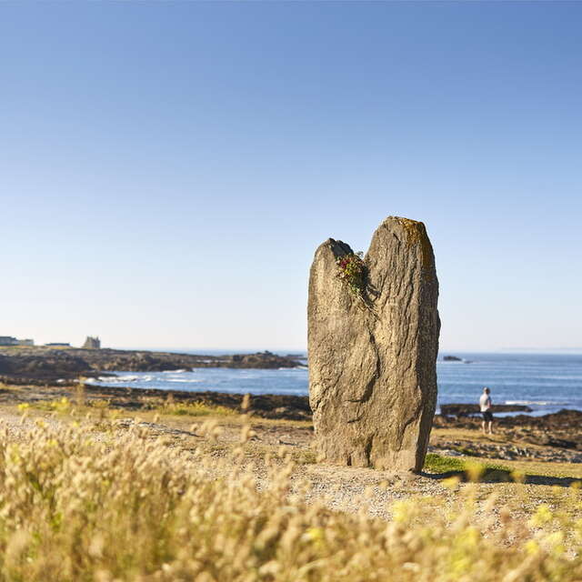 Menhirs de Beg Er Goh Lannec