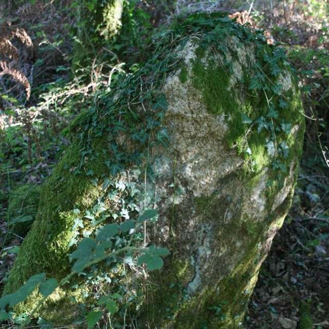 Dolmen à couloir de Coëby1