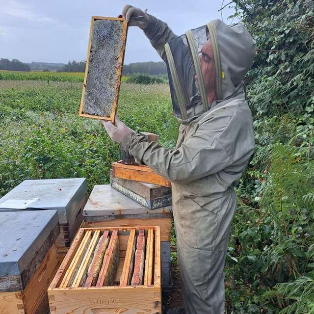 Visite d'entreprise : Mickaël Junot - Apiculteur