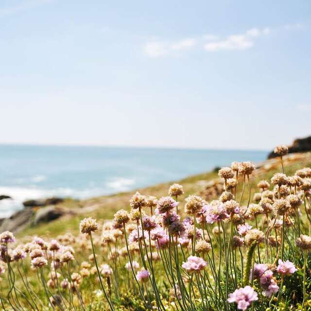Quiberon