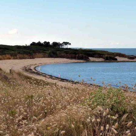 Plage du Loguy