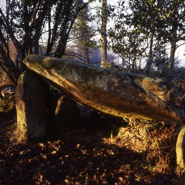 Dolmen de la Grée
