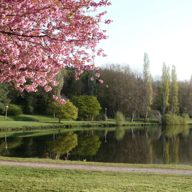Plan d'eau de Pont ar Lenn