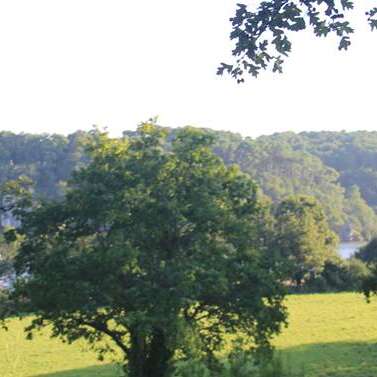 Site de l'Ile