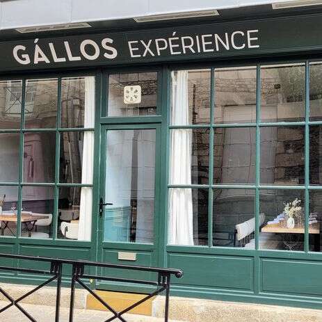 GÁLLOS Expérience