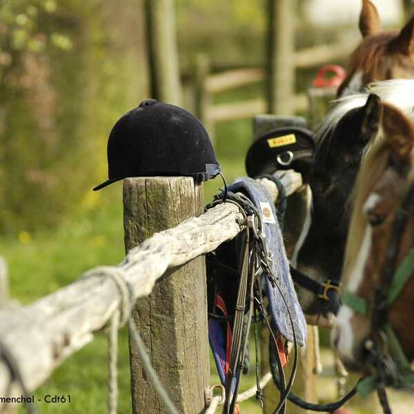 Ecurie des As Taquins