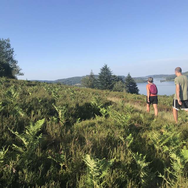 Sentier de rives