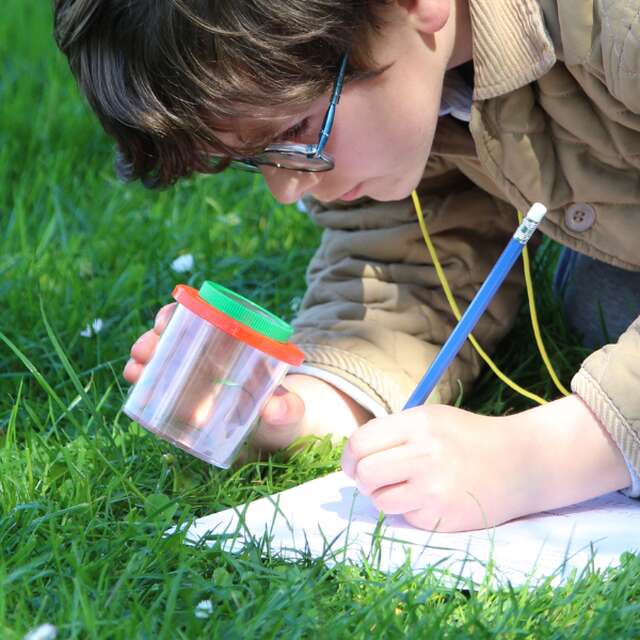 Enquête au marais à Terres d'Oiseaux