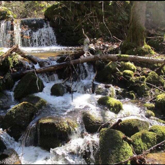 Le ruisseau des moulins