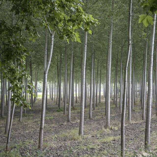 Imagine ta forme des lieux