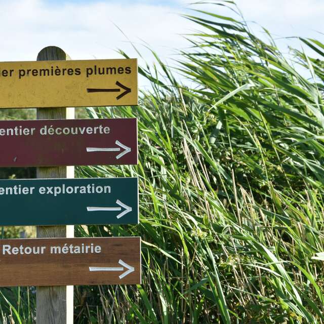 Fête de la nature - Portes Ouvertes à Terres d'Oiseaux