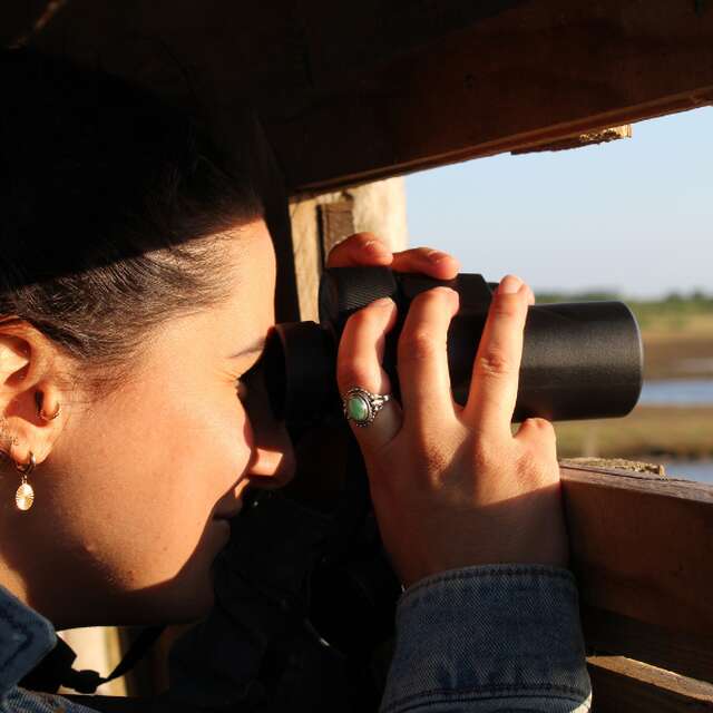 Sortie crépusculaire à Terres d'Oiseaux
