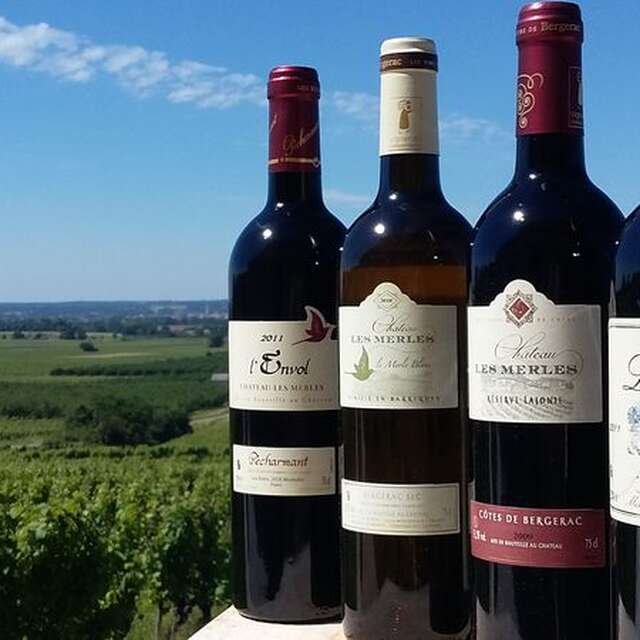 Vignobles Lajonie