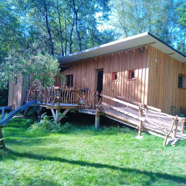 L'Eveil de la Forêt - gîte Nature