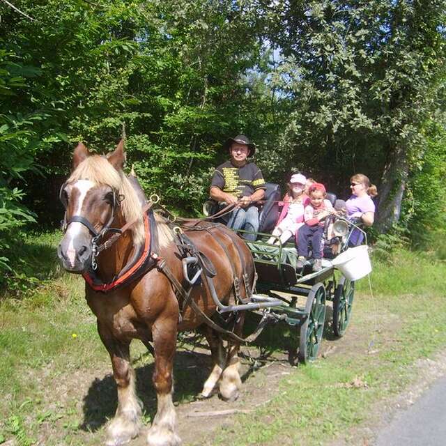 Les Attelages de Monsacou