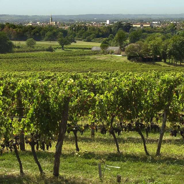 Château Beauportail