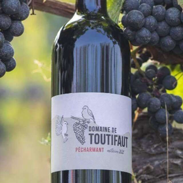 Domaine de Toutifaut | Visite & dégustation
