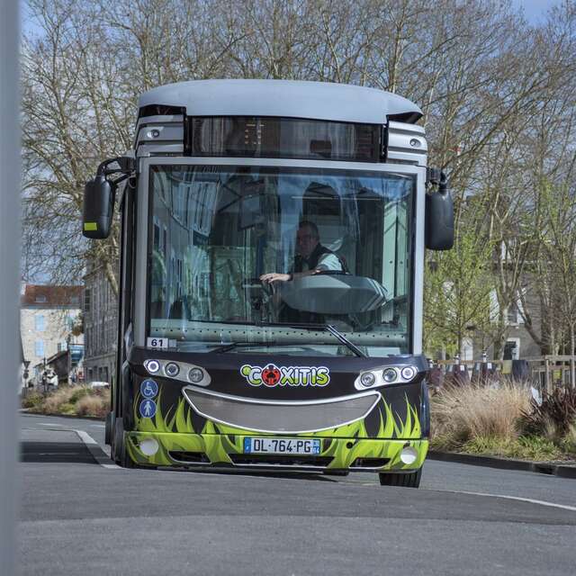 Coxitis - la navette gratuite du centre-ville de Pau