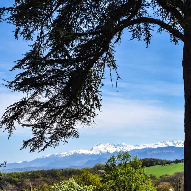 Mazères-Lezons - Des Coteaux à la Saligue