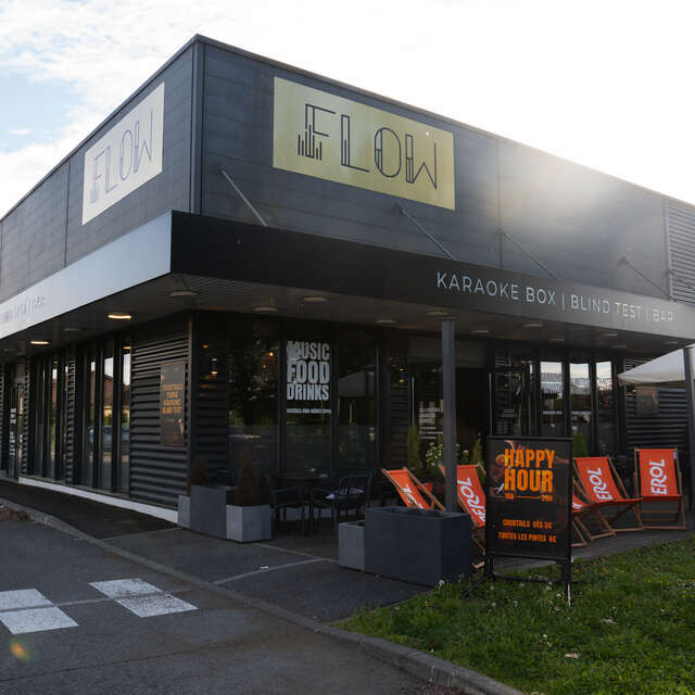 Flow Karaoké- The Lemon Tree