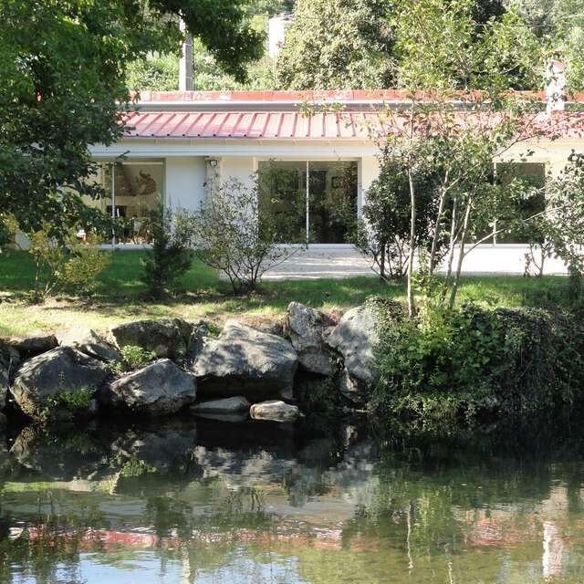 Au poisson dans l'eau