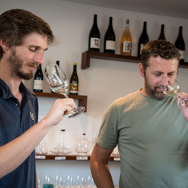 Domaine Albert de Conti