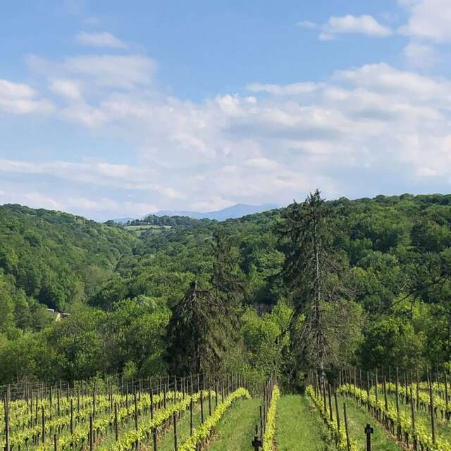 Domaine de Sarros