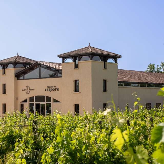 Vignoble des Verdots