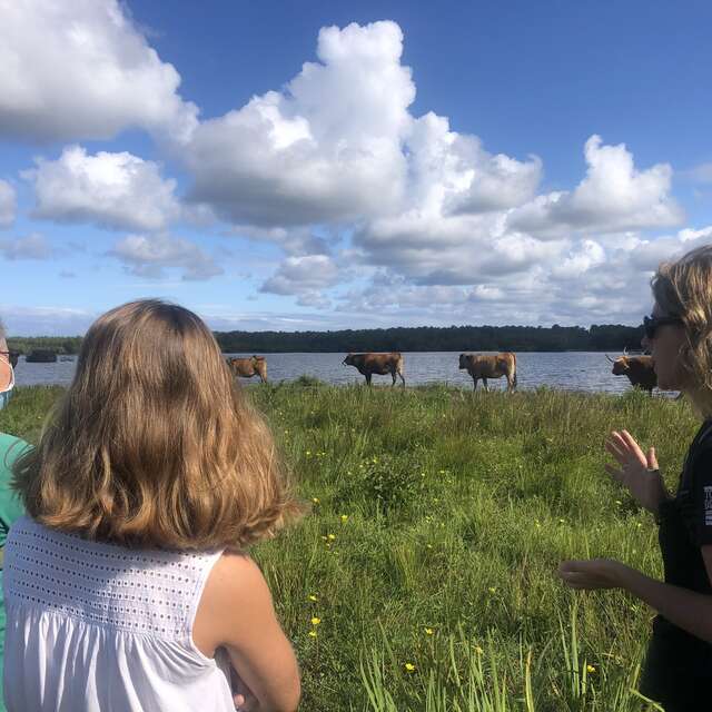 Promenade nature: Le tour du lac d'Aureilhan