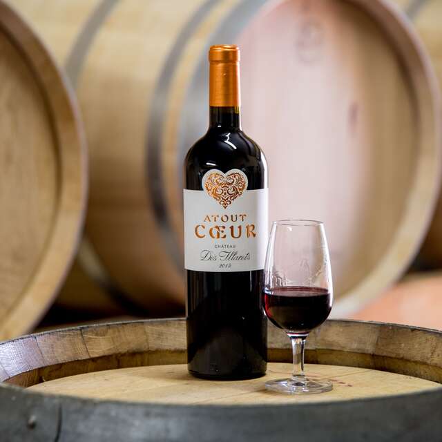 Château des Illarets