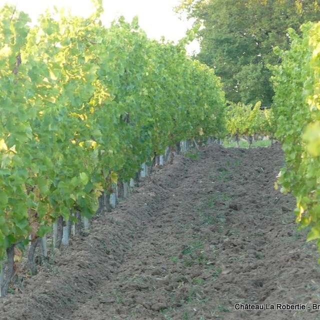 Château La Robertie